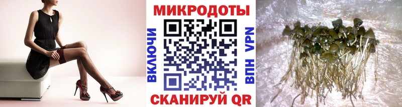 mega онион  Назрань  Псилоцибиновые грибы MAGIC MUSHROOMS 