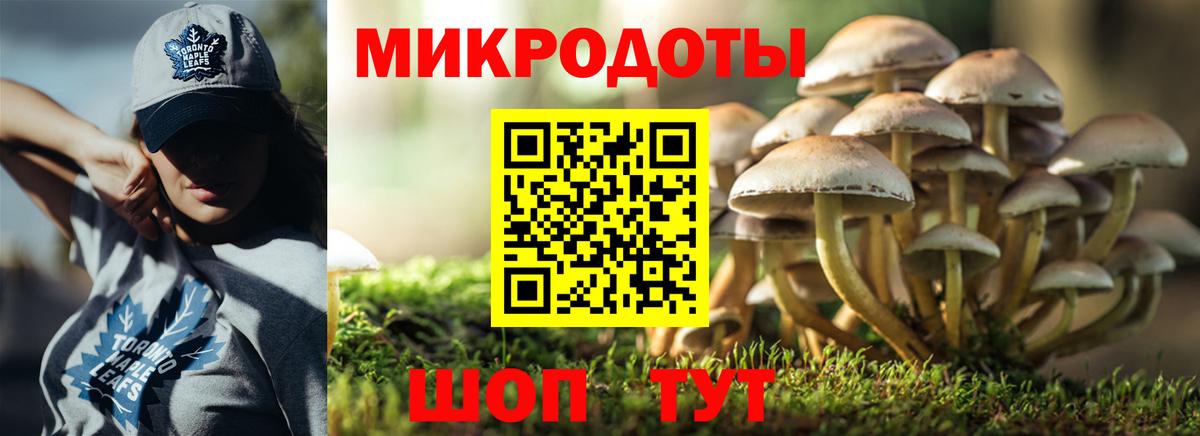 дарнет шоп  Галлюциногенные грибы ЛСД  Вход с VPN  Назрань 